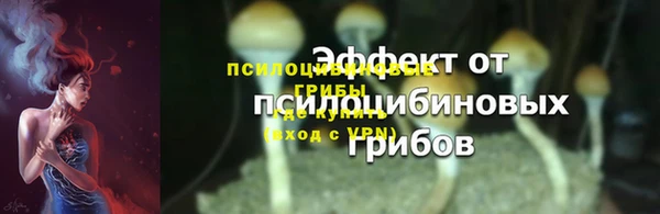 spice Ладушкин