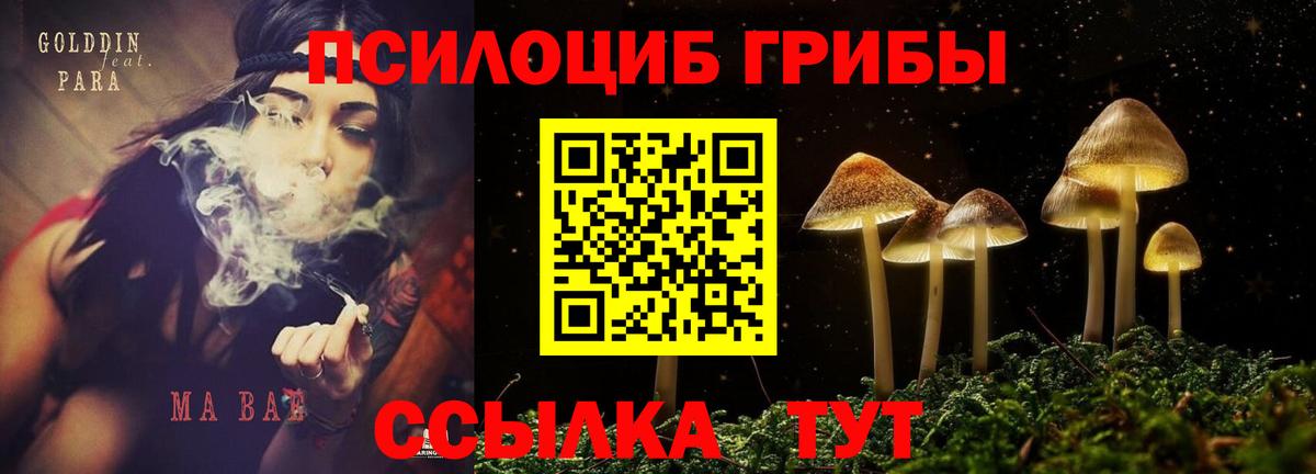 Радужный  Галлюциногенные грибы ЛСД  Вход с VPN  Галлюциногенные грибы Psilocybine cubensis 